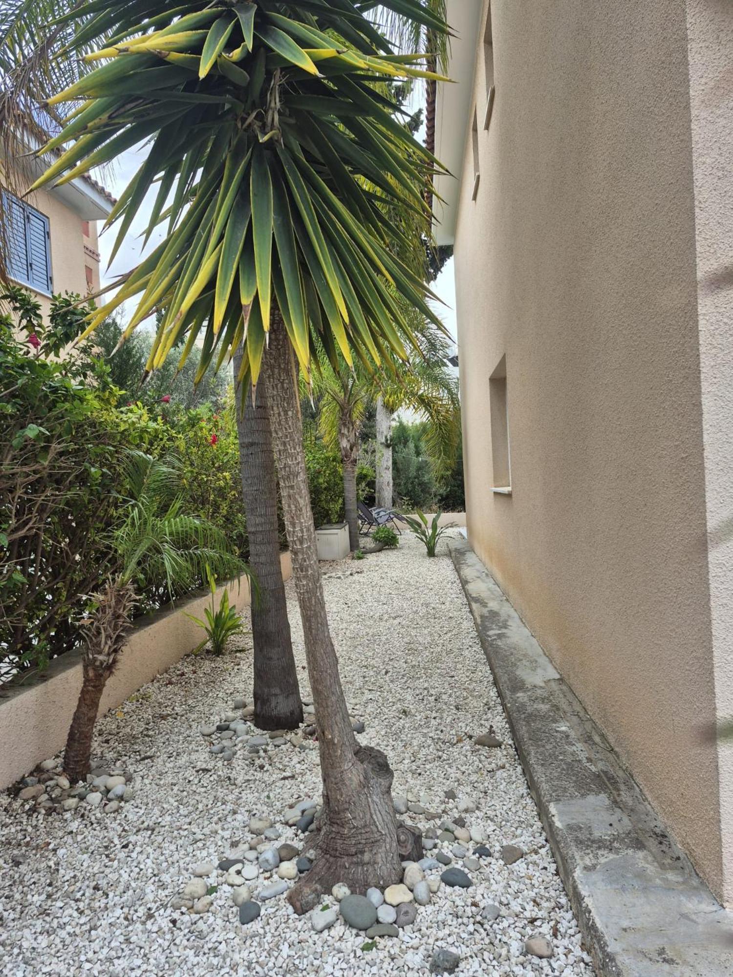 Casa Del Sol Townhouse In Iris Village Paphos Eksteriør bilde